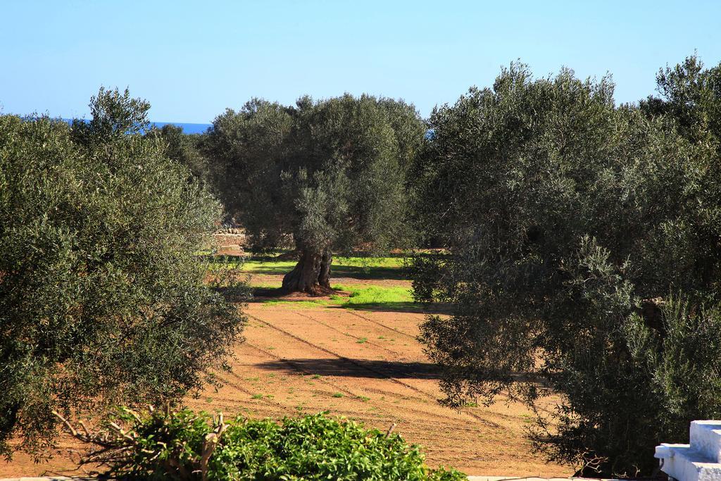 Masseria Pittore Savelletri Eksteriør bilde